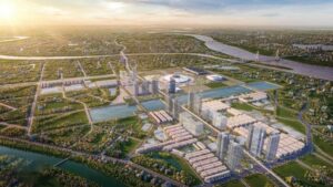 Vin-co-loa-1274-1725703313